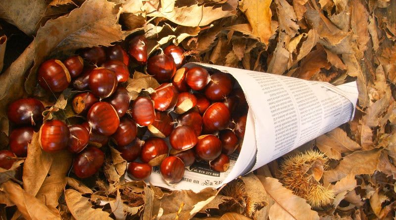 Where to buy castanyes in barcelona